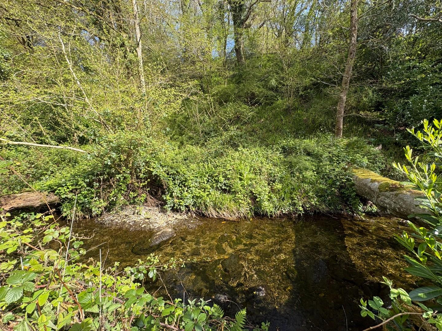 Stream to Side of House.JPEG